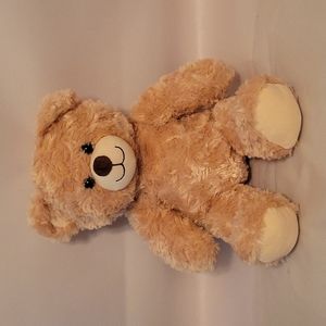 Build-A-Bear Teddy